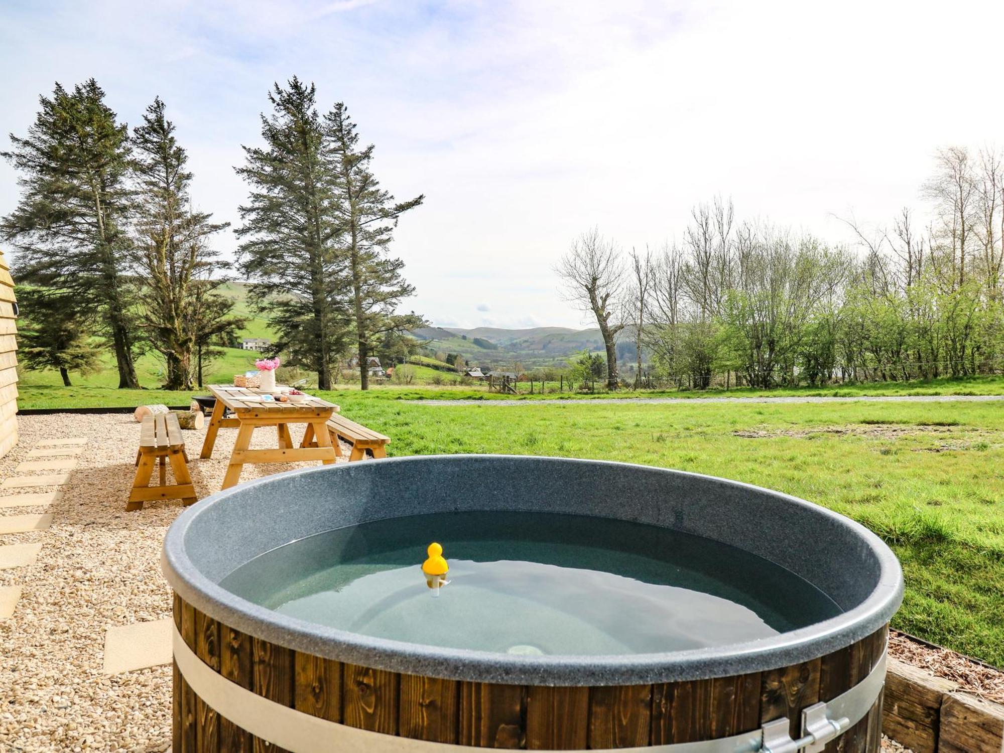 Willow Llanidloes Luaran gambar